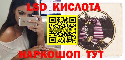 прущие грибы Кандалакша