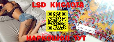 прущие грибы Кандалакша