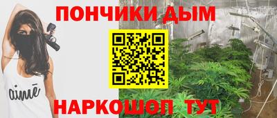 прущие грибы Кандалакша