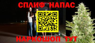 прущие грибы Кандалакша