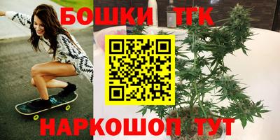 прущие грибы Кандалакша