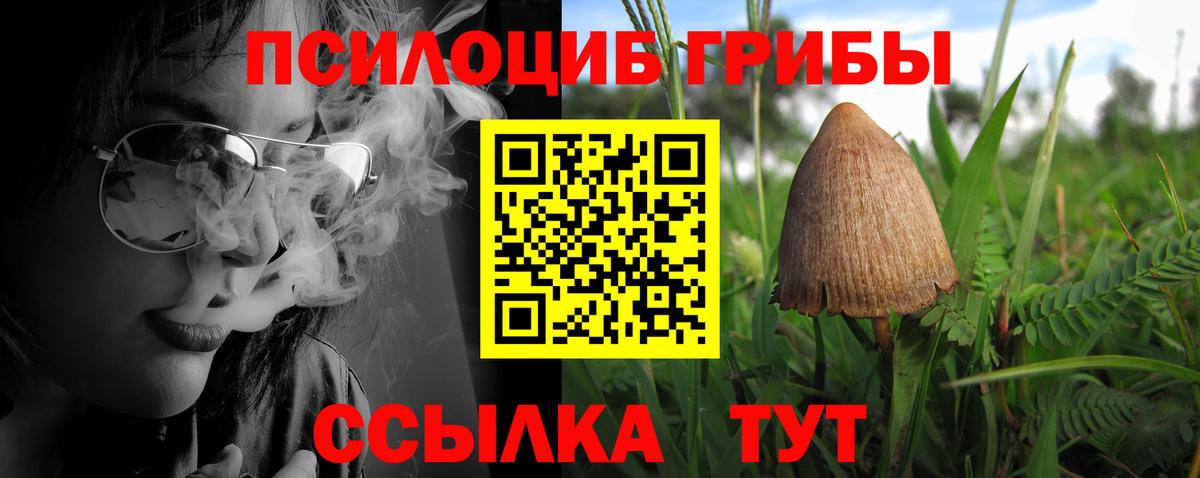 Псилоцибиновые грибы Magic Shrooms  даркнет сайт  Вход с VPN  Луга  Галлюциногенные грибы Magic Shrooms 